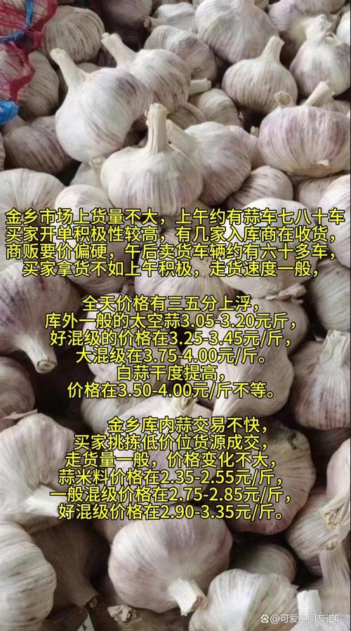 金乡大蒜最新价格今天收,金乡大蒜价格大蒜网