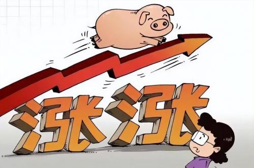 肉价还会下降吗,肉价还会不会上涨?