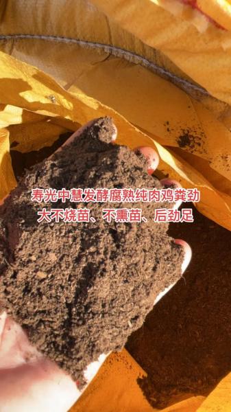 家庭鸡粪简易腐熟方法,鸡粪如何腐熟,才能用来当花肥?