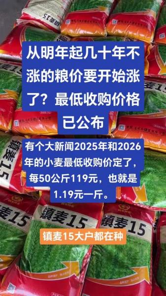 过了年小麦会涨价吗?年底小麦还上涨吗?