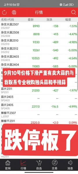 大蒜最新行情2023,大蒜最新行情国际网?