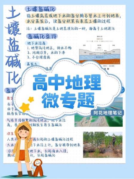 盐碱地种植海水稻的有利条件,盐碱地水稻种植技术专题