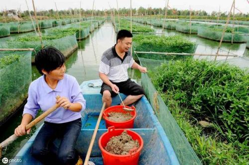 网箱养鱼正确方法?网箱养鱼正确方法视频?