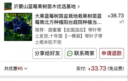 蓝莓苗怎么种植和养护?蓝莓苗怎么种植方法如下?