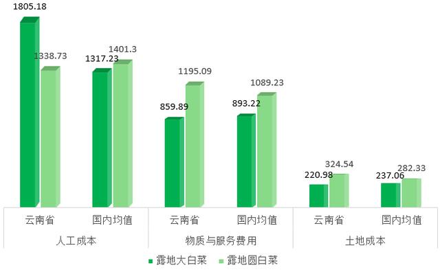 云南白菜价格最新行情,云南白菜价格最新行情分析