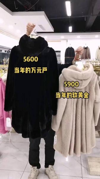 今日诸城貂皮最新价格表,诸城貂皮交易市场?