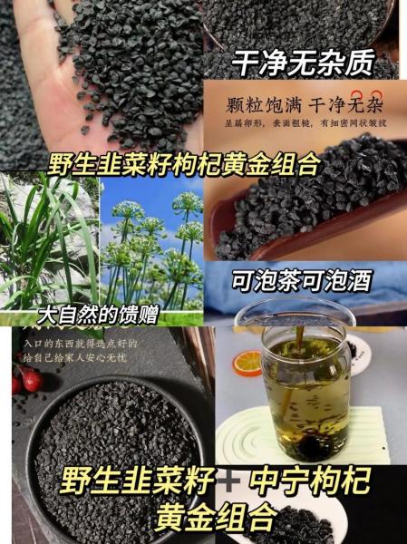 韭菜籽种植时间和方法?韭菜籽怎么种植出苗好?