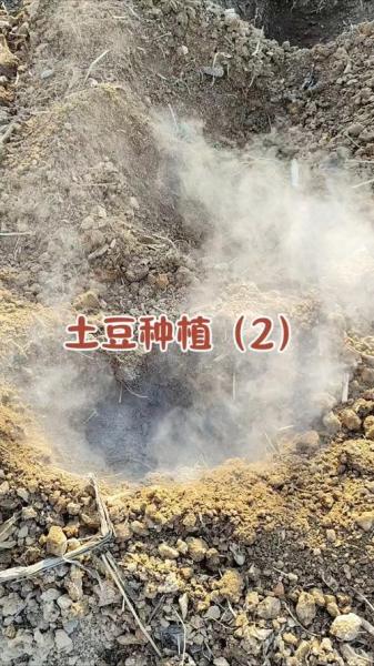 土豆的栽种方法,土豆的栽种方法及注意事项