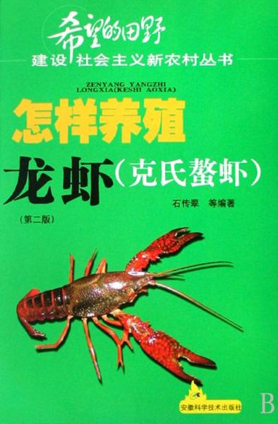 龙虾怎么养殖虾苗,龙虾怎么养殖虾苗图片?