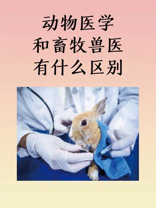 畜牧兽医和动物医学专业哪个好,畜牧兽医专业和动物医学哪个范围广
