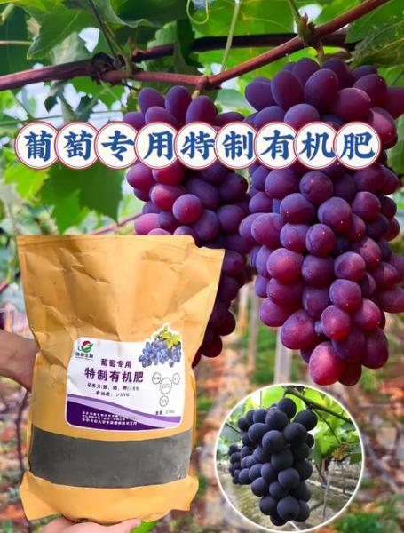 葡萄种植技术与栽培方法?葡萄的种植方法和技术?