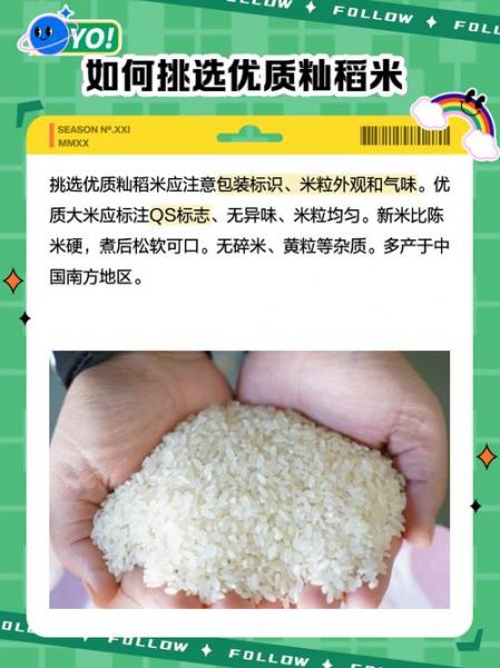 我们现在吃的大米是杂交水稻吗?,我们现在吃的大米是杂交水稻吗英语?
