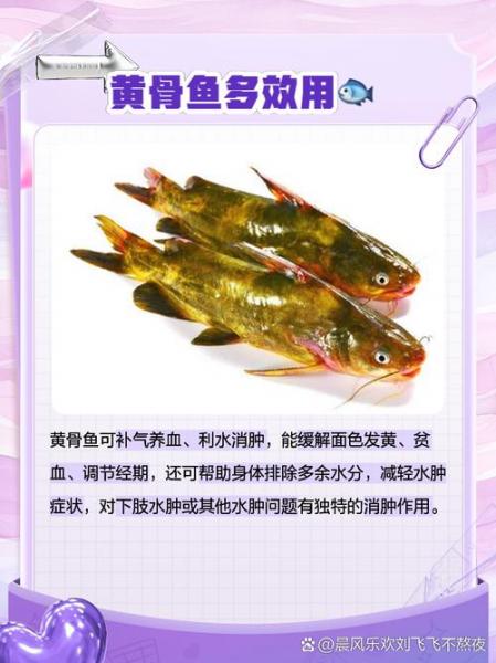 黄骨鱼跟什么鱼混养?黄骨鱼可以和观赏鱼一起养吗??