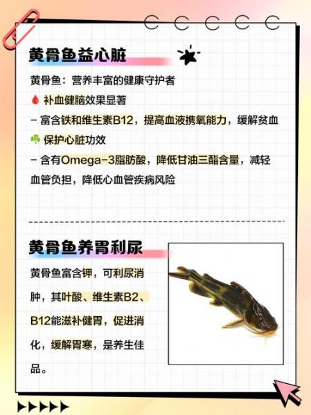 黄骨鱼跟什么鱼混养?黄骨鱼可以和观赏鱼一起养吗??