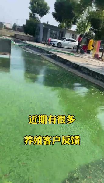 碳酸氢铵在水产养殖中的作用?碳酸氢铵放鱼塘对鱼什么危害?