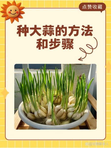 大蒜素自制方法,大蒜素怎么做成的