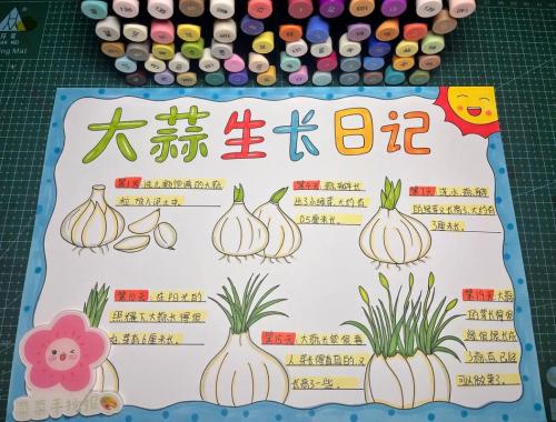 大蒜种植时间及方法,大蒜的种植时间是多少?