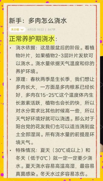 多肉的正确养殖方法多久浇水一次?多肉一般多久浇水一次?