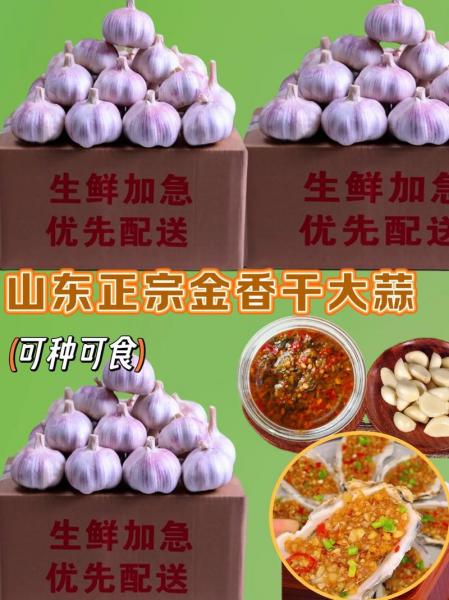 金乡大蒜交易市场在哪里,金乡大蒜交易市场在哪里进货