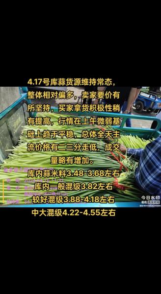 全国蒜苔价格最新行情,全国蒜苔价格最新行情分析