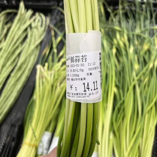 全国蒜苔价格最新行情,全国蒜苔价格最新行情分析