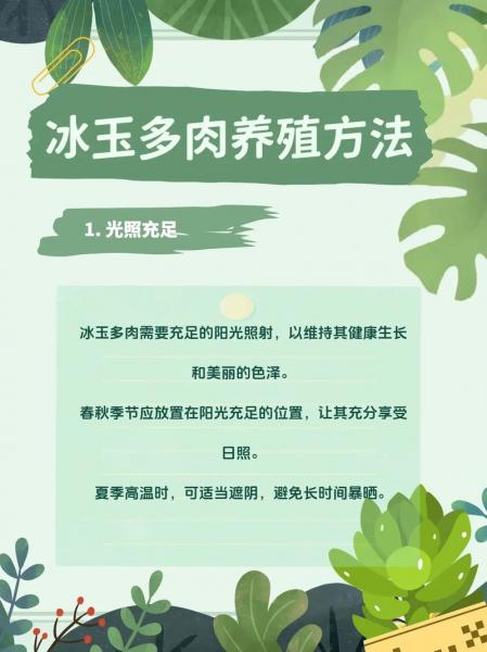 怎样养殖多肉,怎样养殖多肉玉露?