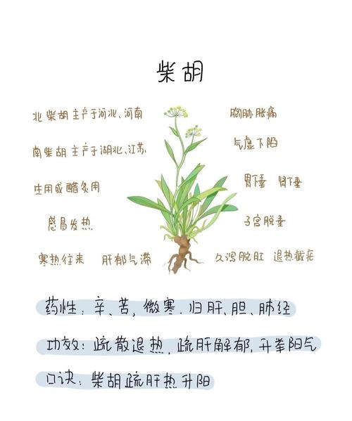柴胡种植方法技术,柴胡种植技术及效益?