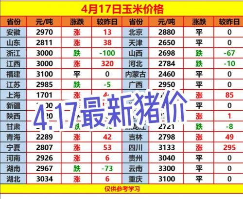 农村如何选择猪仔养殖?农村养猪怎么养喂什么?
