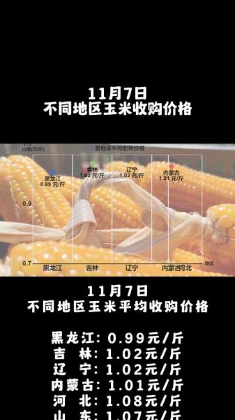 2023山东玉米最新价格是多少?2021年春节前后山东玉米价格?
