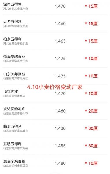 2023山东玉米最新价格是多少?2021年春节前后山东玉米价格?