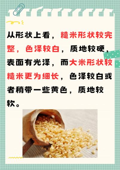 稻谷和大米的区别,稻米和大米有什么区别?