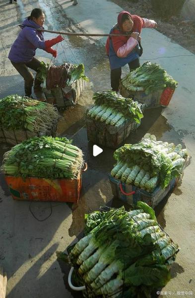 蔬菜批发市场搬到哪里去了?蔬菜批发市场在哪个位置?