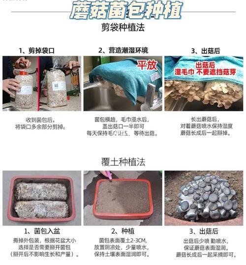 种植蘑菇需要多少资金,种磨菇得投资多少钱?