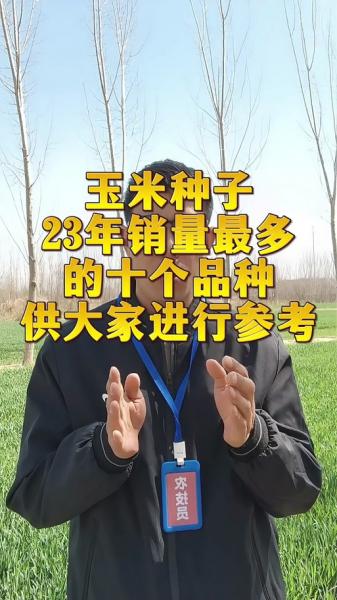 高平玉米价格最新行情?山西高平玉米价格最新行情?