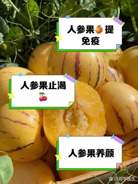 人参果能吃吗,冻的人参果能吃吗?