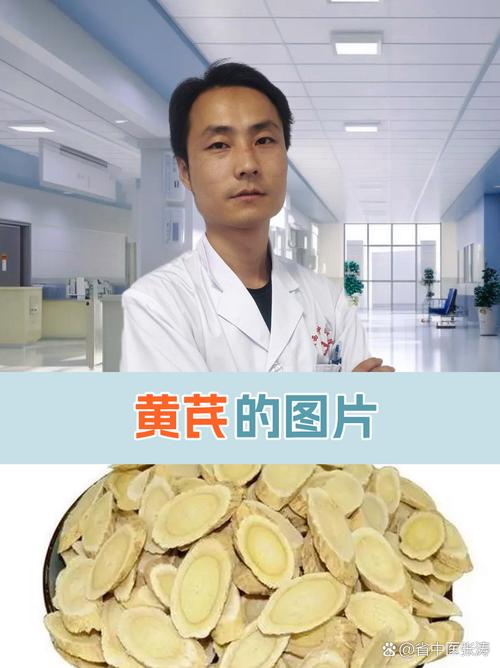 黄芪种植和生长条件?黄芪的种植与生长条件?