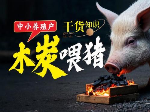 养殖什么不愁销路三农?养殖什么不缺销路?