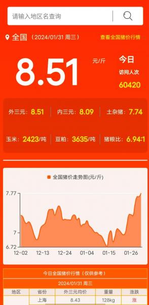 大猪今天什么价格行情走势,今日大猪价格查询