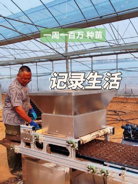 种植业致富项目吗,种植致富农村项目大全?