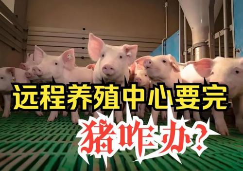 未来养殖业前景怎么样,未来养殖业什么前景好??