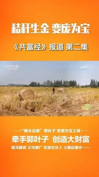 致富经属于什么节目,致富经改成什么栏目了