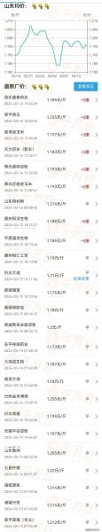 2021年六月份玉米会涨价吗,玉米六月份能涨价吗