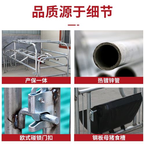 落地母猪产床的方法,母猪单体落地式产床尺寸