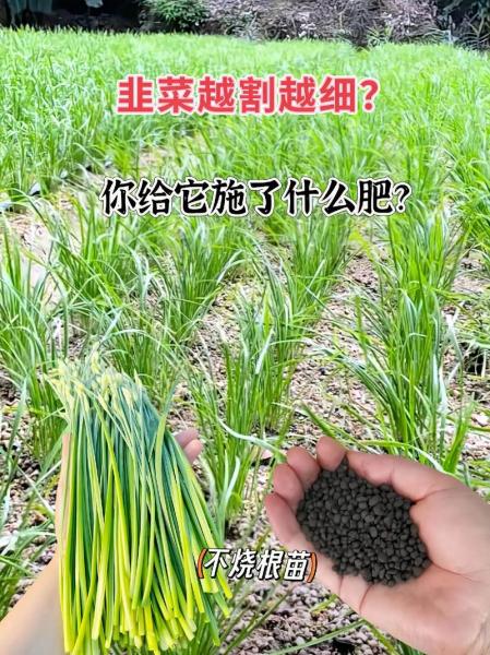 农村种植用什么肥好?种地施什么肥?
