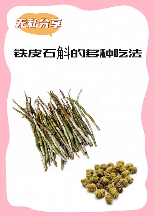 石斛的种植条件与方法?石斛的种植技术?