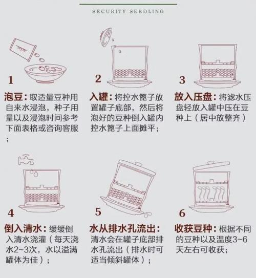 盐碱地种植大豆方法?盐碱地育种?