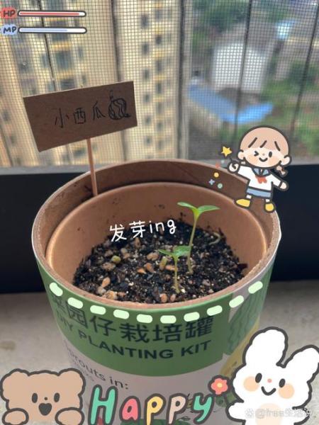拇指小西瓜种植方法？拇指西瓜种植方法日记？