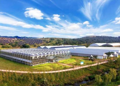 生态观光旅游农业种植什么?观光生态农业模式及配套技术?