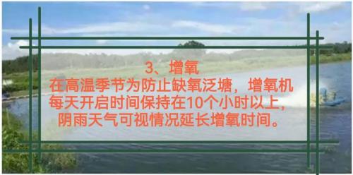 鲈鱼养殖最新技术?鲈鱼养殖效益怎么样?