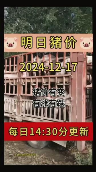 今日临沂最新猪价,临沂今日猪价行情报价